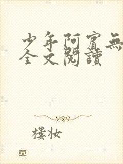 少年阿宾无删减全文阅读