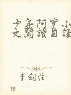 少年阿宾小说全文阅读目录免费