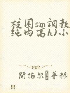 校园sm调教(纯肉高h)小说