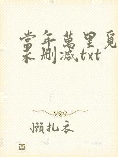 当年万里觅封侯未删减txt