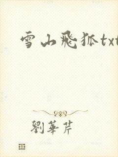 雪山飞狐txt