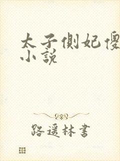 太子侧妃傻乎乎小说封面