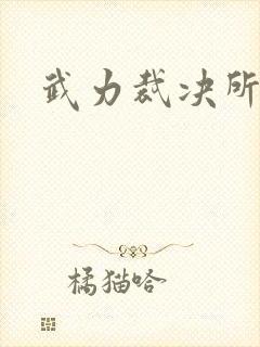 武力裁决所