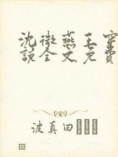 沈微燕王穿越小说全文免费阅读