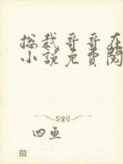 总裁哥哥在上的小说免费阅读无弹窗封面