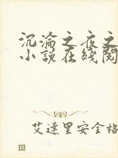 沉沦之夜之夏婉小说在线阅读