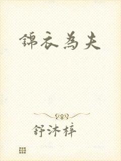 锦衣为夫封面