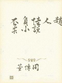 不负佳人赵刚苏柔小说