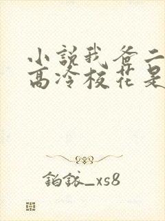 小说我爸二婚,高冷校花是我妹