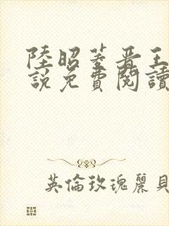 陆昭菱晋王的小说免费阅读