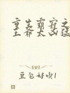 重生霸宠之摄政王爷太凶猛封面