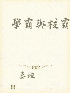 学霸与校霸