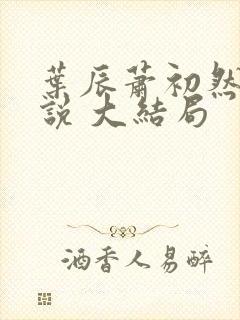 叶辰萧初然 小说 大结局封面