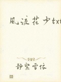 风流花少txt封面
