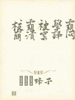 校霸被学霸玩到崩溃云译网