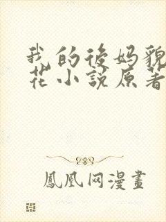我的后妈貌美如花小说原著