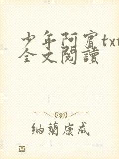 少年阿宾txt全文阅读