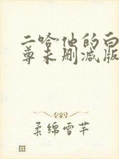 二哈他的白猫师尊未删减版封面