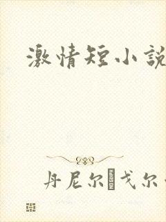 激情短小说