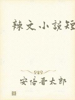 辣文小说短篇