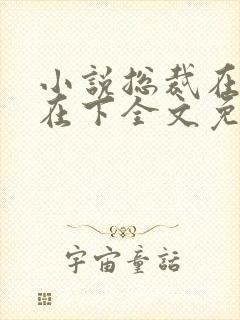 小说总裁在上我在下全文免费阅读