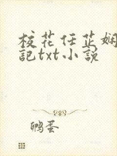 校花任芷娴的日记txt小说