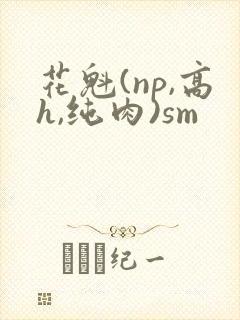 花魁(np,高h,纯肉)sm