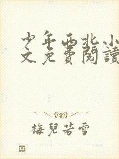 少年西北小说全文免费阅读无弹窗