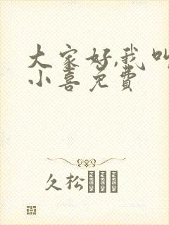 大家好,我叫林小喜免费封面