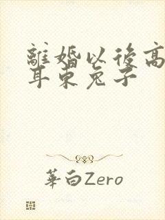 离婚以后高干 耳东兔子封面