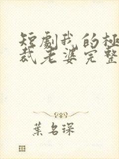 短剧我的极品总裁老婆完整版在线看完