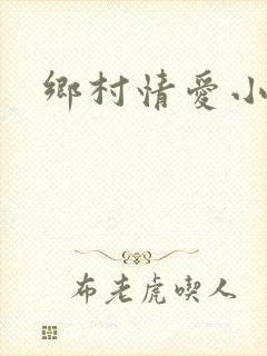 乡村情爱小说封面