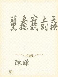 萌妻宠上天:腹黑总裁别撩