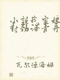 小说我家娘子不对劲洛青舟最新章节阅续
