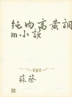 纯肉高黄调教sm小说