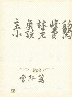 主角林峰的官场小说免费阅读无弹窗
