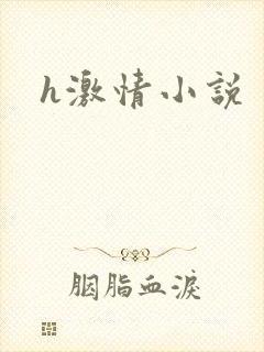h激情小说