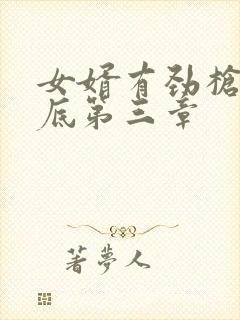 女婿有劲枪枪到底第三章封面