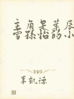 主角是叶辰夏若雪孙怡的小说封面