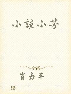 小说小芳封面