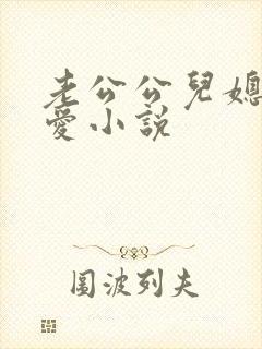 老公公儿媳妇爱爱小说