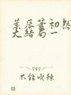 叶辰萧初然完结大结局一
