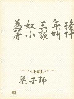 为奴三年后的原著小说叫什么封面