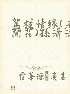 驾校情缘(老树开花)孙潇潇笔趣阁