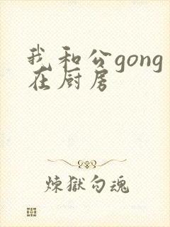 我和公gong在厨房封面