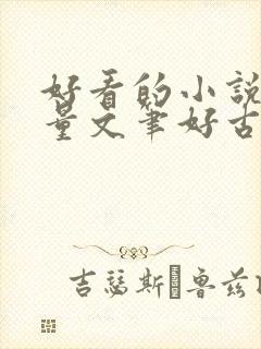 好看的小说高质量文笔好古言