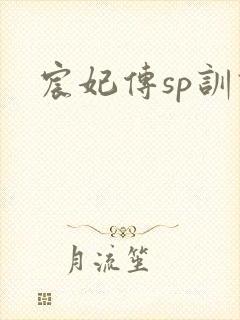 宸妃传sp训诫封面