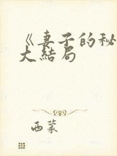 《妻子的秘密》大结局