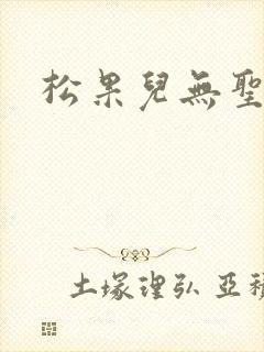 松果儿无圣光封面