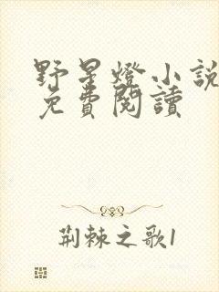 野星灯小说全文免费阅读封面